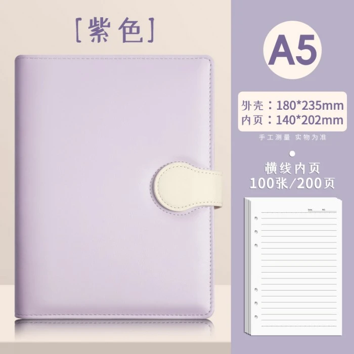 Loose Leaf Planner Color Option 2